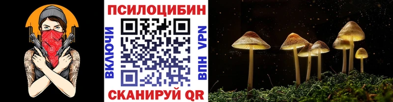 Псилоцибиновые грибы мухоморы  магазин    shop какой сайт  Осташков 