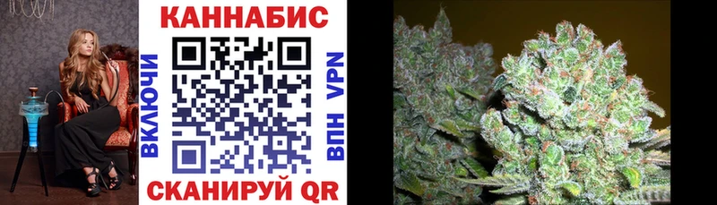магазин  наркотиков  дарк нет какой сайт  МЕГА как войти  Канабис сатива  Осташков 